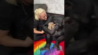 Dog with the monkey ❤️ lovely 💖 #monkey #dog #shorts #short #reel #reels