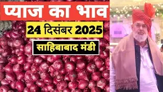 24 December 2025 🧅 प्याज का भाव साहिबाबाद मंडी | today onion rates #delhimandi #onion #todayonion 