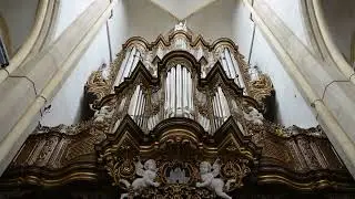 Fantasia  (Hinsz-orgel Bovenkerk Kampen, Sweelinq)