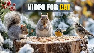 Winter Cat TV 😺🐦 An Amber Symphony with Birds, Chipmunks and Squirrels 🐿 Cat Games 4K HDR