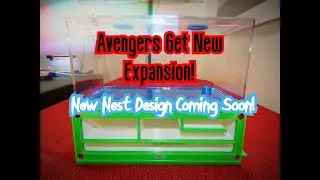 The Avengers Ant Colony Get Another New Expansion!