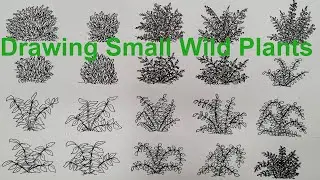 How to Draw Small Wild Plants and Shrubs in Pen and Ink | Easy Drawing Tutorial