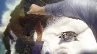 Washed off While Fishing - Don't Try This At Home