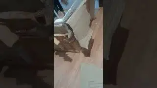 Unboxing kotak rahasia🤣
