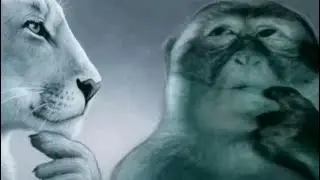 Pokemon TikTok compilation!