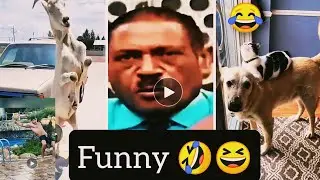 TRY NOT TO LAUNCH 😂🤣 FUNNY Compilation 🤣😂😁 Memes PART  15
