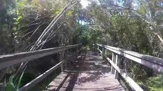 Buxton Woods Nature Trail