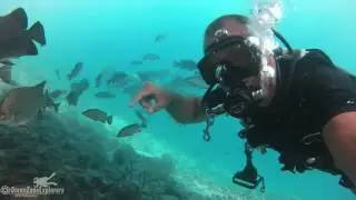 Under the pier, Busuanga