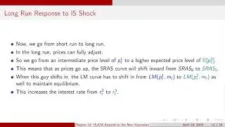 New Keynesian Model Shocks