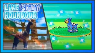 [LIVE] Shiny Houndour Reclaimed after 14836 REs in Platinum + Evo/Battle Revolution Showcase