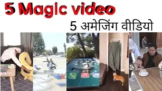 5 movemntes || Zach King's Best Magic Videos of 2024