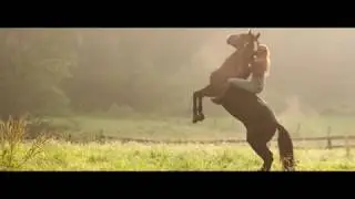 Ostwind 2 [You Belong to the Wild]