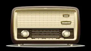 Radio garden live radio stations  Радио Сад Прямые радиостанции