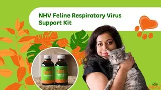 NHV Feline Respiratory Virus Support Kit