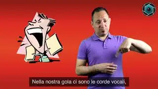 CURIOSITA' - CORDE VOCALI/VOCE - LIS