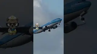 KLM Boeing 737-800 #shorts #facts #klm #boeing737800 #aviation #beautiful