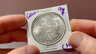 PCGS Coin Grading Submission 2024