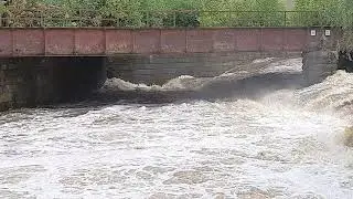 River kelvin high water 5th August 2020