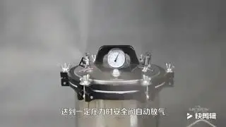 WSL 260 Cheapest 8L 18L 24L Coal Electric Portable Sterilizer Autoclave