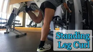 Standing Leg Curl