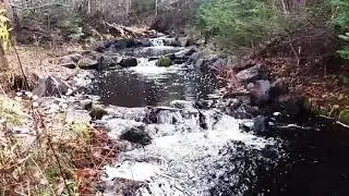 #MooneysPond #waterfall #autumn #nature #beautiful #canada #pei