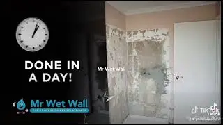 Mr Wet Wall
