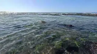 3 Hours | Honokohau Beach, Hawaii &ndash; Gentle Ocean Waves on Lava Rocks for Sleep & Relaxation