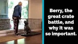 Berry, the great crate battle, and why it was so important.
