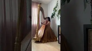 Howl&rsquo;s Moving Castle/Merry Go Round of Life (harp)- kim.harpist