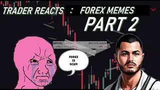 TRADER REACTS : Forex Memes Part 2