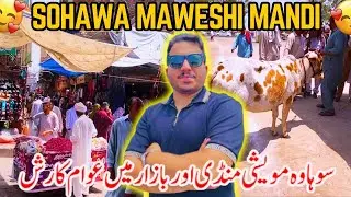 Full rush in sohawa Bazar and Maveshi Mandi | POTHWAR TV