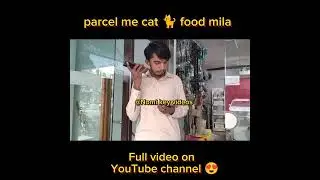 parcel me cat 🐈 food mila #shorts #parcel #delivery