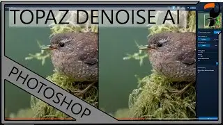 Topaz Denoise AI on a Canon 1DX III Image at ISO 25,600