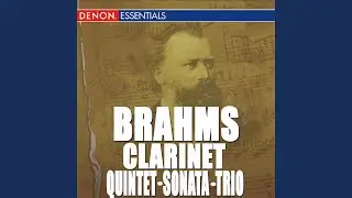 Trio for Clarinet, Piano and Violoncelloin A Minor, Op. 114: IV. Allegro