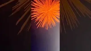 HOT GIRLS TEXAS RIDER VINAYAGA Testing Crackers Diwali Stash 2024🎆 #patakhe #crackers nagpal & sons