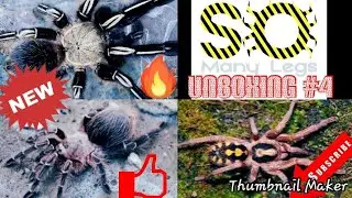 Unboxing my 4th order from So Many Legs