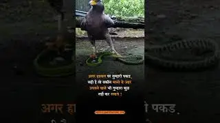 s s motivation status