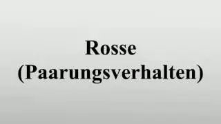 Rosse (Paarungsverhalten)
