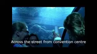 IFLA 2010 - Let's meet in G&ouml;teborg  (Gothenburg)