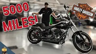 Harley Davidson 5000 Mile Service | Harley Davidson Dealership