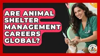 Are Animal Shelter Management Careers Global? - Animal Care Jobs