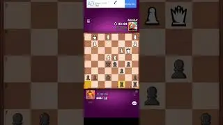 Master chess 55