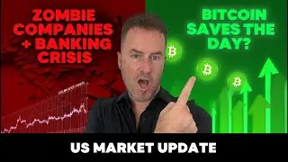 Zombie Companies & Banking Crisis Explained  | Bitcoin Crash, US market crash update