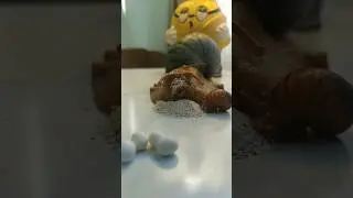 cute snail mouth 😍