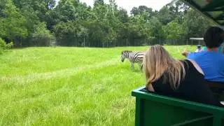 Zoo in Lafayette LA