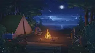 campfire. [lofi / jazzhop / chill mix]