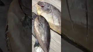 CLEANING FISH