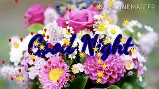 Good Night YouTube Video with beautiful flower images photos and music share on social networks