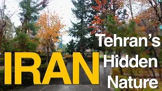 ASMR Rain Walk in Tehran's Saei Park: The Iran You've Never Seen