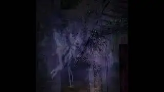 WITKKXKH XOSO - geeked up +sincer6h #MyTr4pH0uS31FucK1nH4uNt3D(p*feliguap)